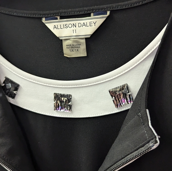 Alison Daley 2pc Top / Tank - Size 1X - Picture 3 of 6